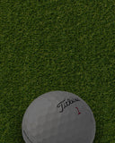 Custom golf balls from Titleist, TaylorMade, and top brands - personalize with logos and text